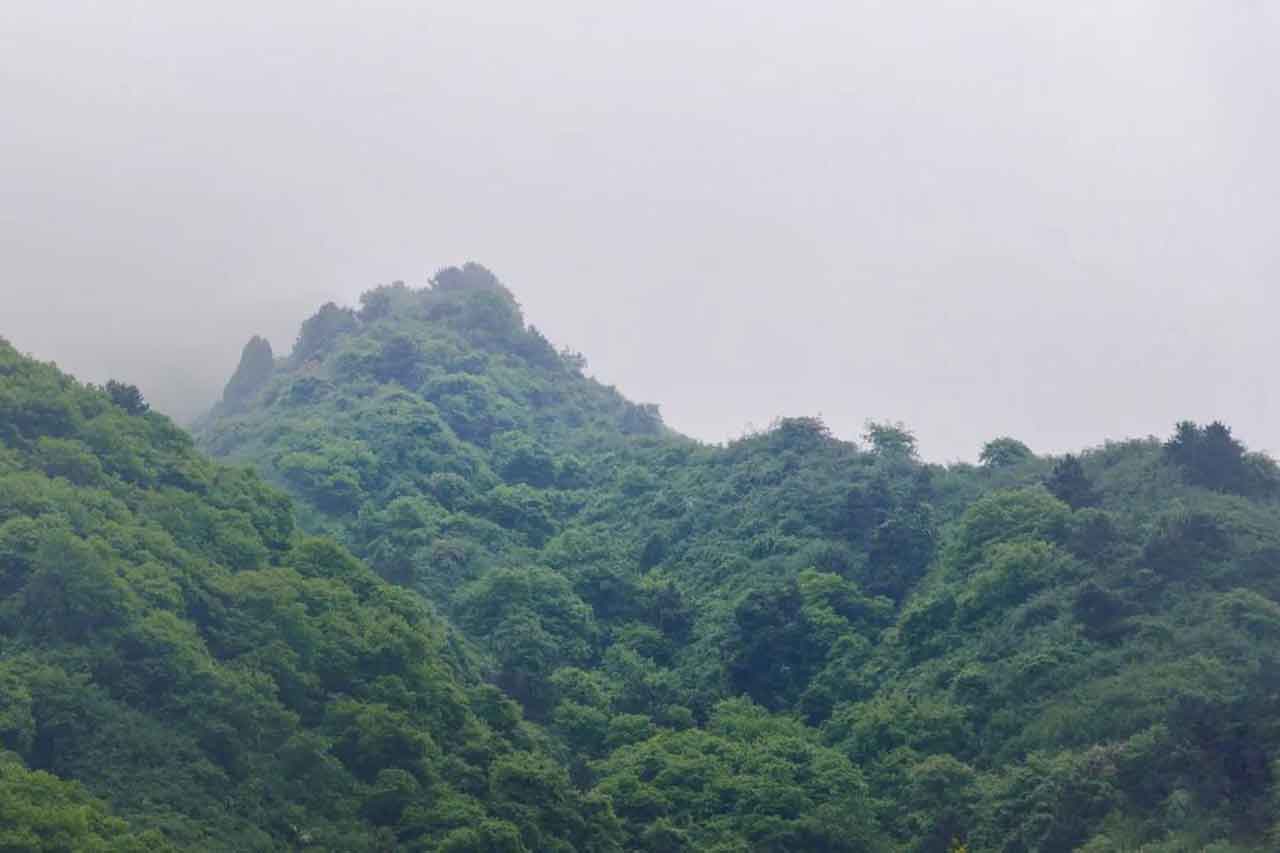 山谷