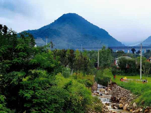 Vegetable Farm